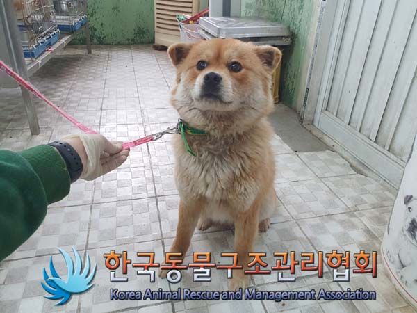 한국동물구조관리협회_441560202300232